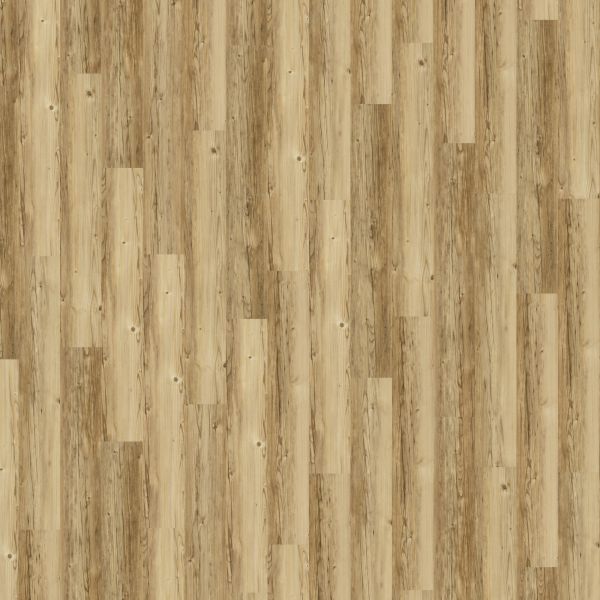 Sprucewood - Amorim Wise Wood Pro SRT Kork zum Kleben 4 mm