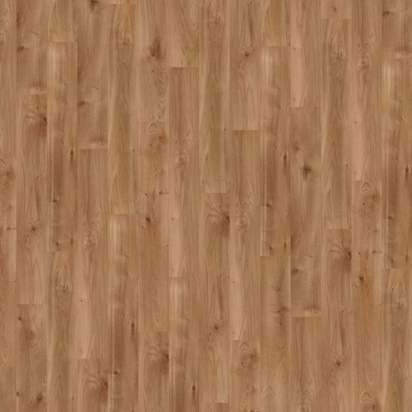 Wineo Bioboden 1000 Wood L - Intensive Oak Caramel zum Kleben 2,2 mm