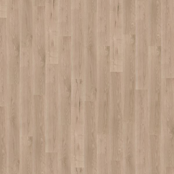 Wineo Bioboden 1000 Wood L - Comfort Oak Sand zum Klicken 5 mm