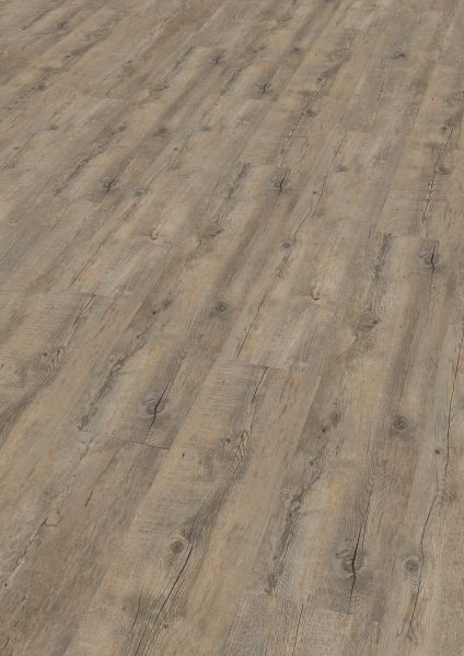 Wineo 400 Vinylboden - Embrace Oak Grey zum Kleben 2 mm