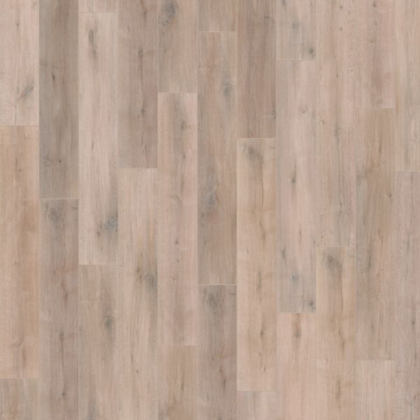 Wineo Bioboden 1000 Wood XL - Rustic Oak Taupe zum Klicken 9 mm